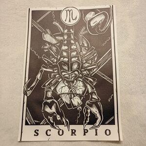 2/$10 Scorpio Zodiac Canvas Art Print